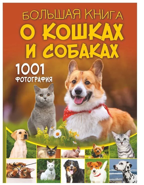 Большая книга о кошках и собаках. 1001 фотография