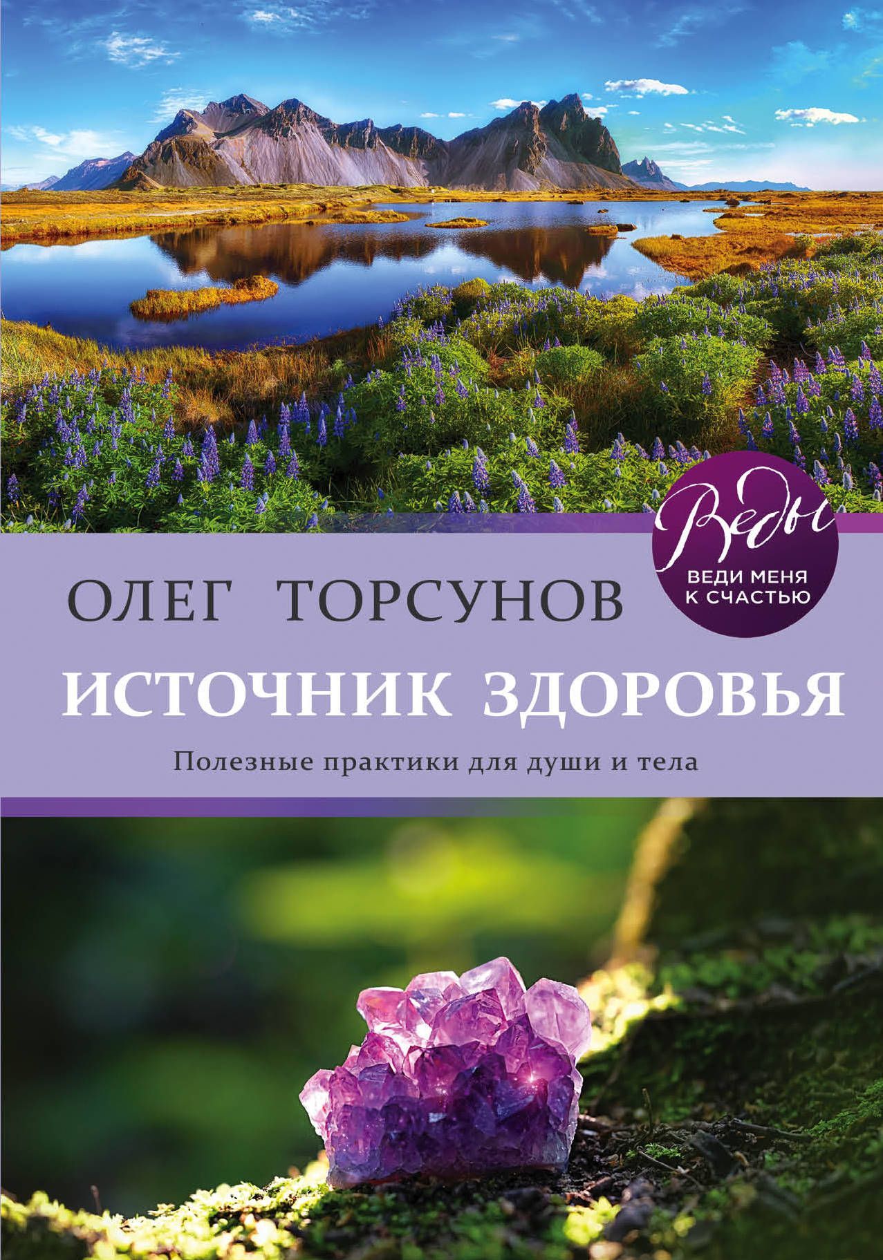 Обложка товара «Источник здоровья. Полезные практики для души и тела Торсунов О.Г.»