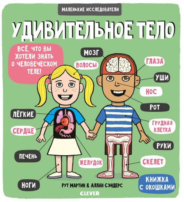 Обложка товара «Маленькие исследователи. Удивительное тело»
