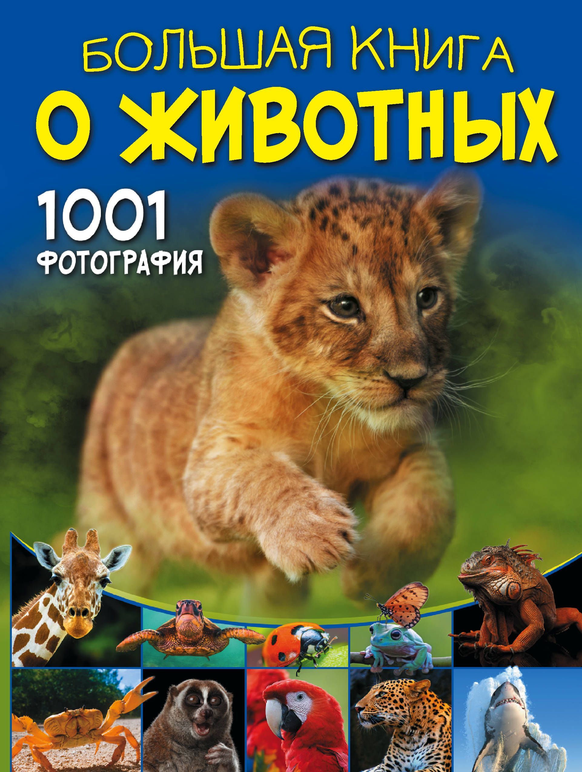 Обложка товара «Большая книга о животных. 1001 фотография»
