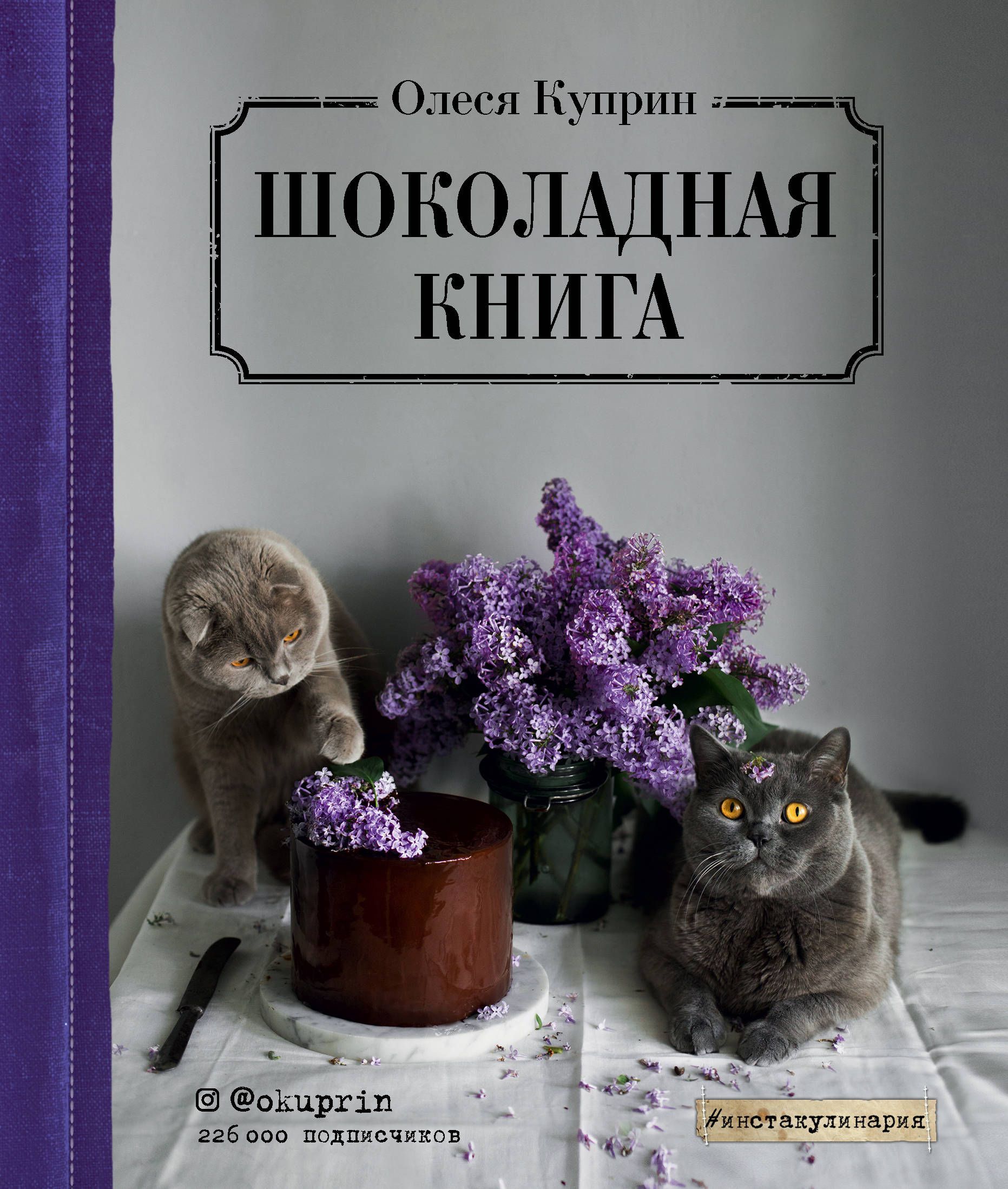 Обложка товара «Шоколадная книга Олеся Куприн»