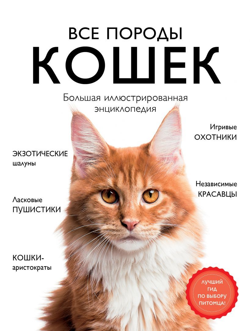 Анастасия крюкова стильный дом в необычных деталях 90 креативных идей для создания интерьера мечты