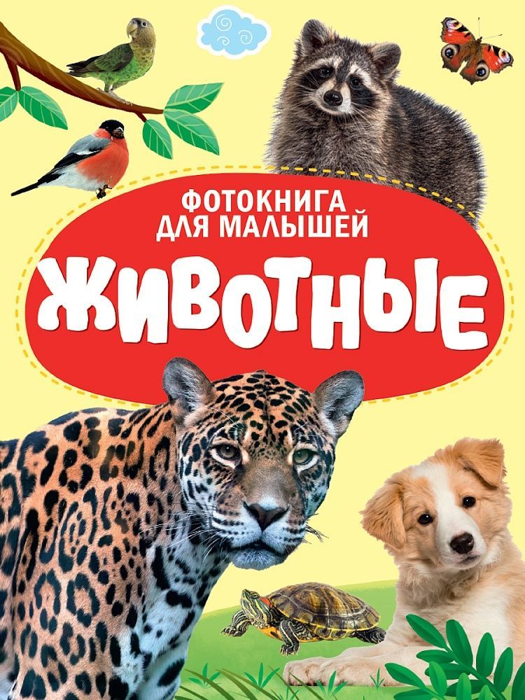 Обложка товара «ЦК. ФОТОКНИГА ДЛЯ МАЛЫШЕЙ. ЖИВОТНЫЕ»