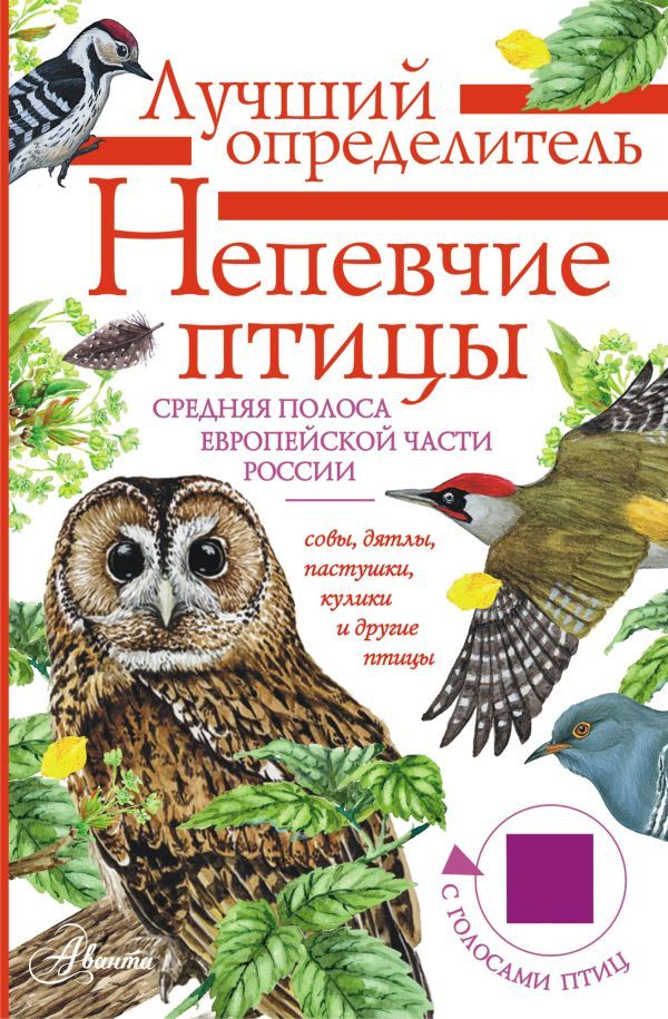 Обложка товара «Непевчие птицы. Средняя полоса европейской части России. Определитель с голосами птиц»