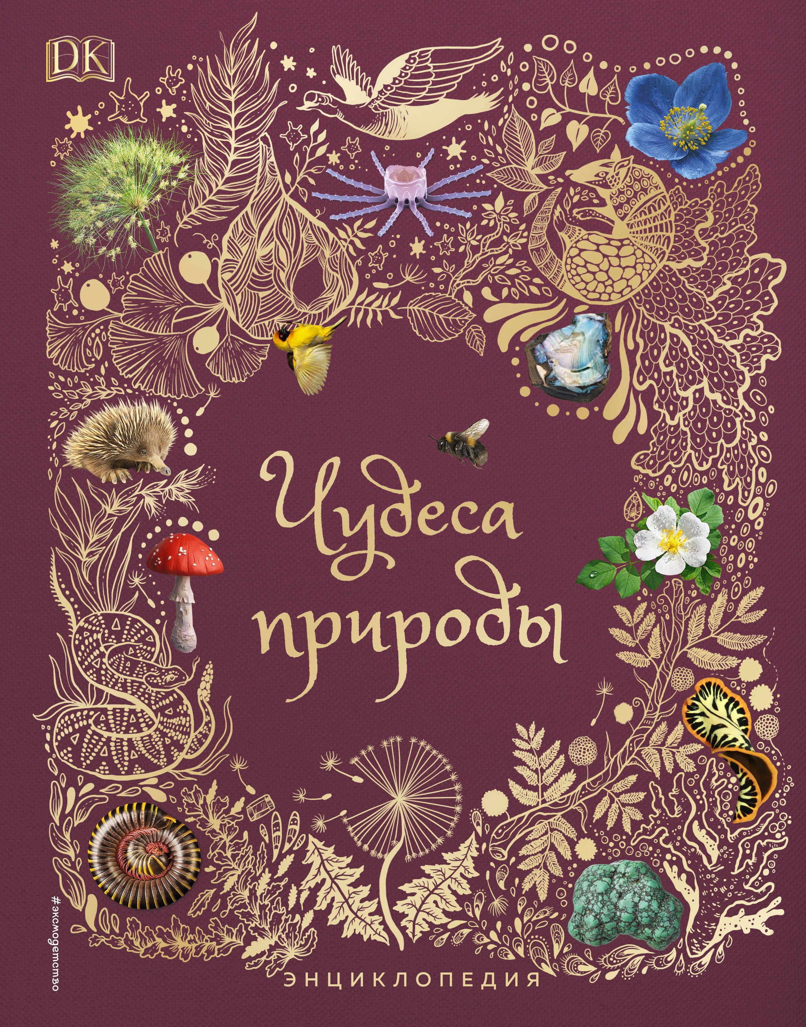 Обложка товара «Чудеса природы. Энциклопедия Бен Хоар»