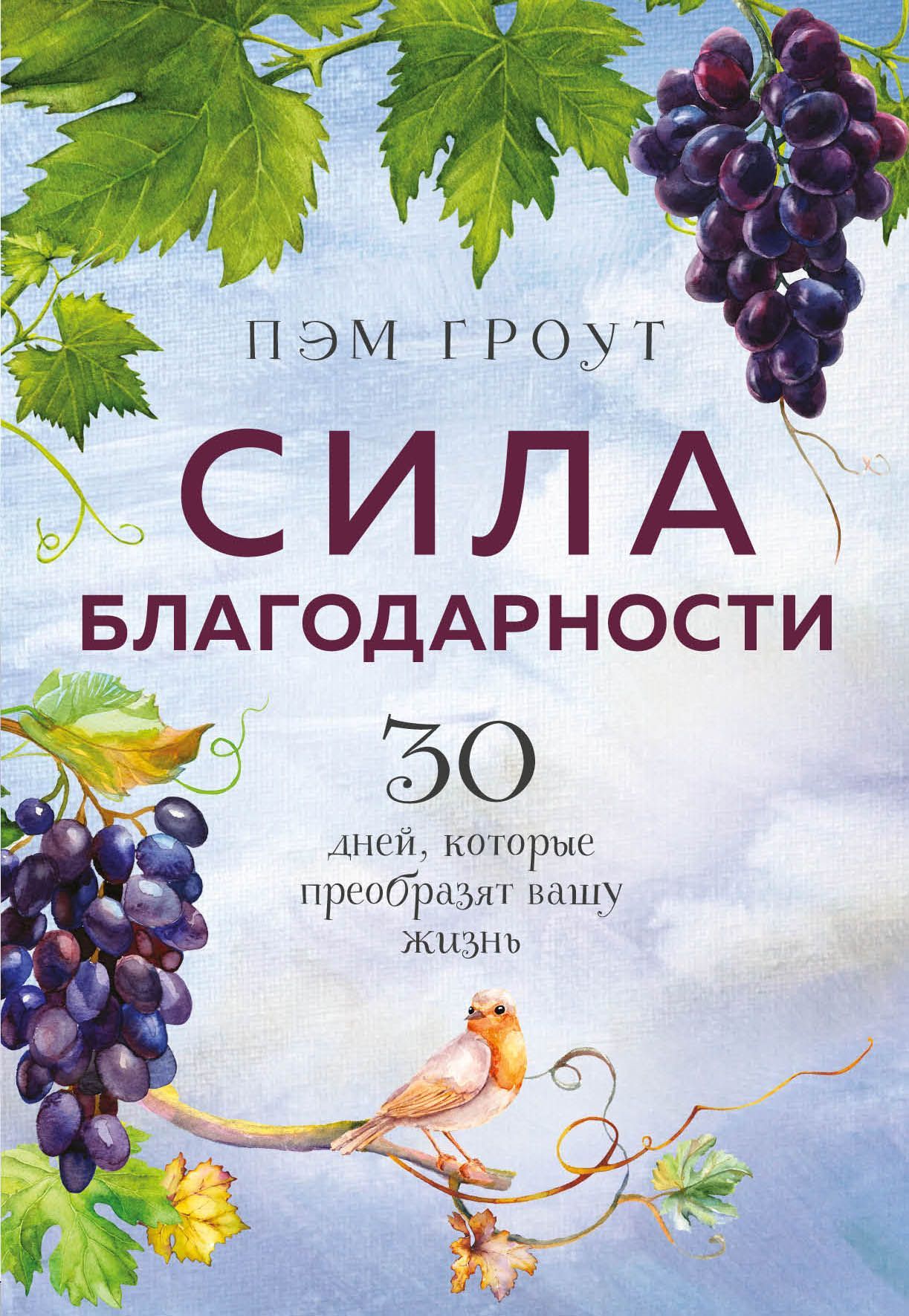 Сила благодарности. 30 дней, которые преобразят вашу жизнь Гроут П.