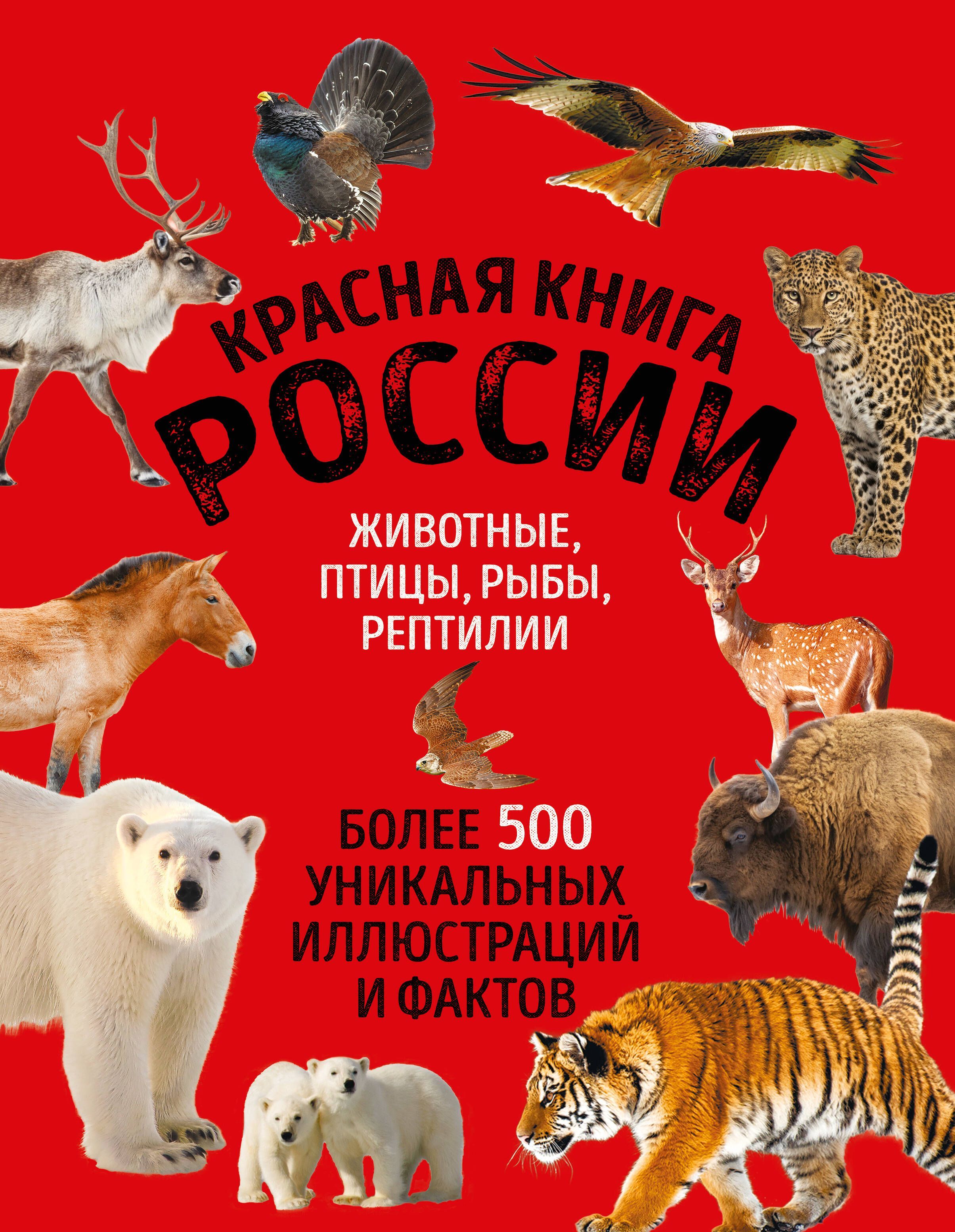 Обложка товара «Красная книга России. Большой формат. Более 500 уникальных иллюстраций и фактов (новое издание) (основной)»