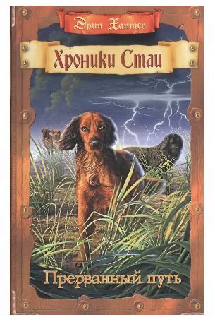 Обложка товара «Прерванный путь.»
