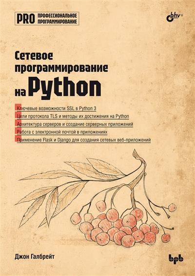Обложка товара «Профессиональное программирование. Сетевое программирование на Python»