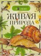 Обложка товара «ДЭР. Живая природа Вологдина Е..»