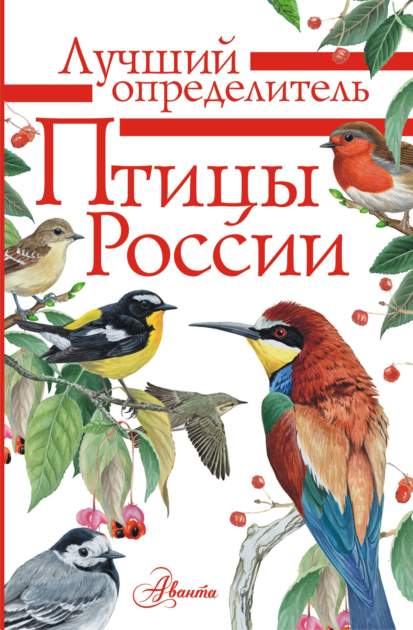 Обложка товара «Птицы России»