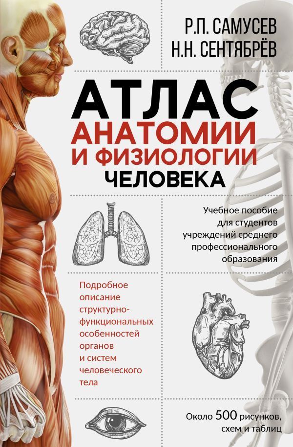 Обложка товара «Атлас анатомии и физиологии человека. Учебное пособие для студентов учреждений среднего профессионального образования»