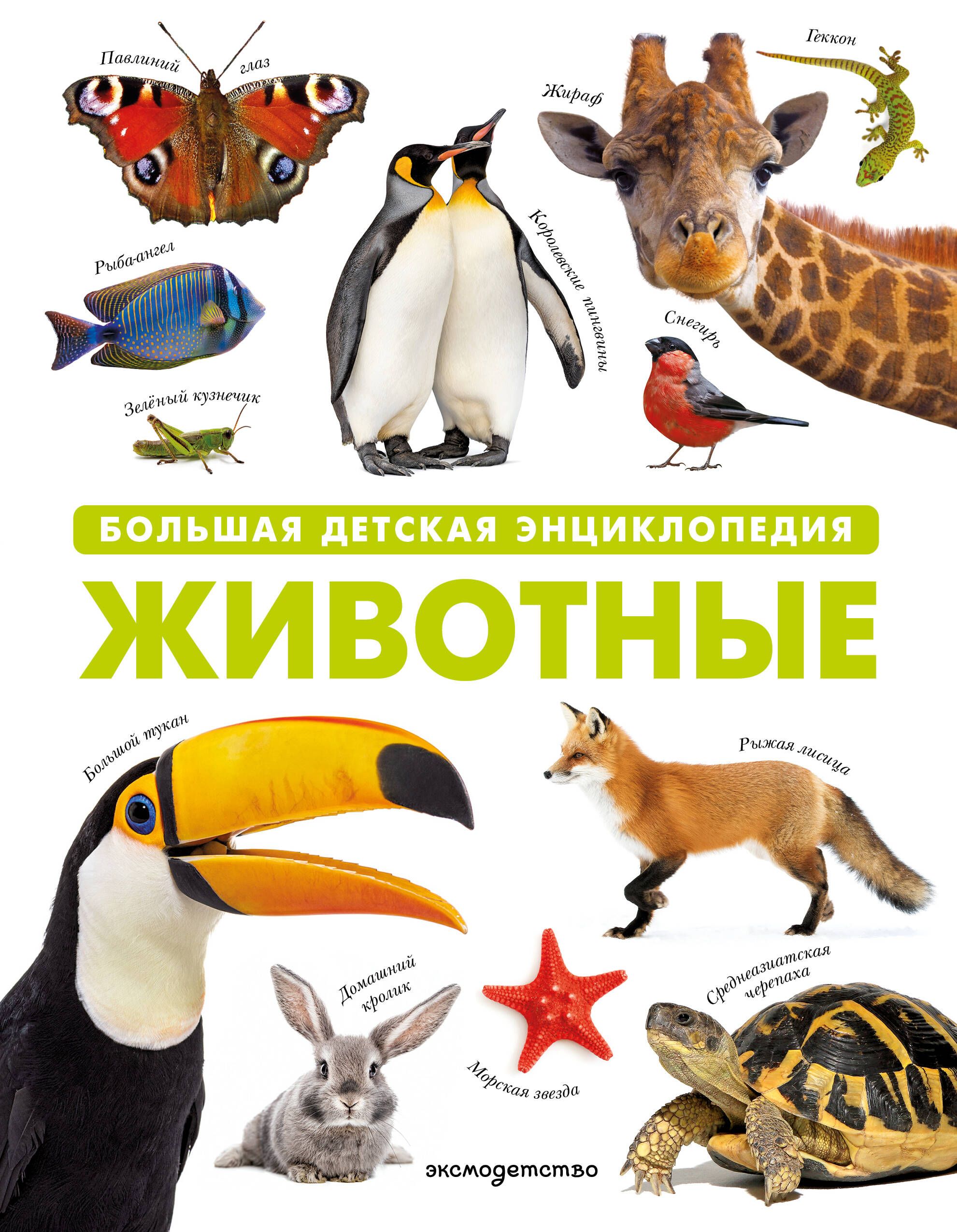 Обложка товара «Животные. Большая детская энциклопедия»