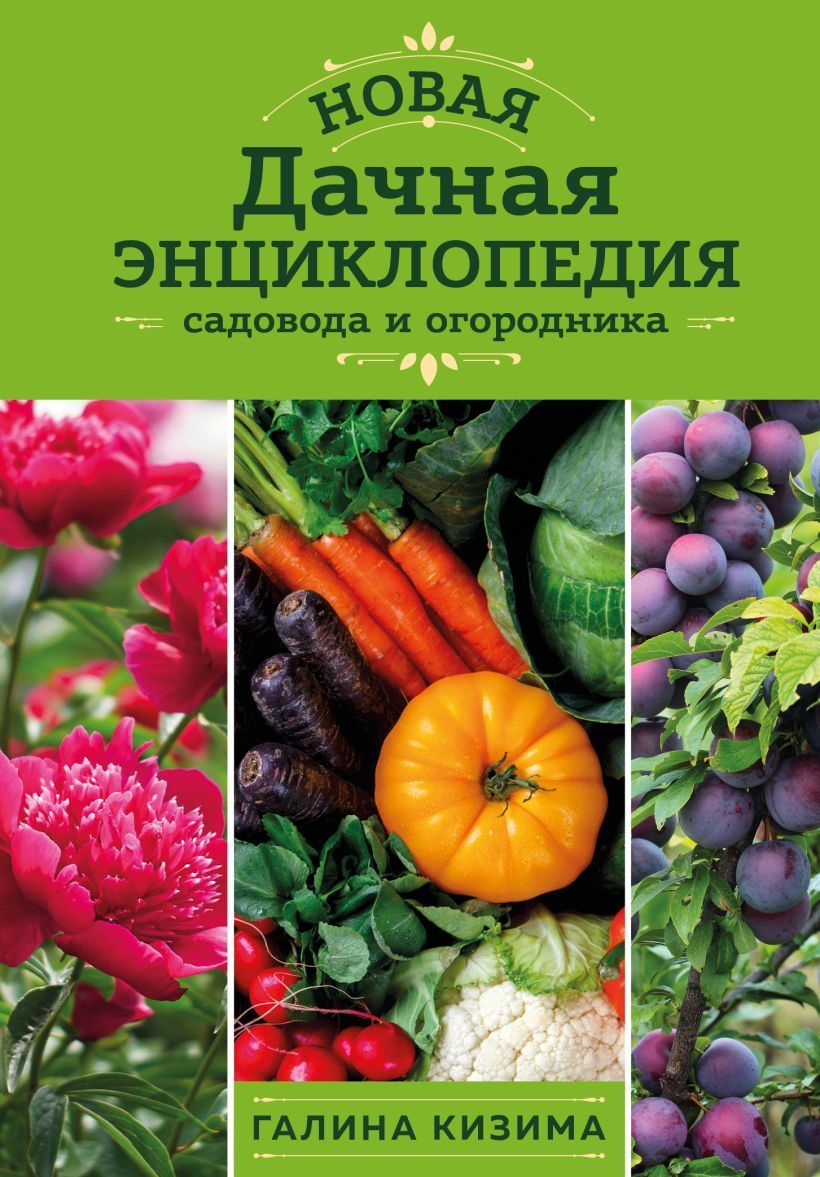 Новая дачная энциклопедия садовода и огородника (новое оформление) Кизима Г.А.