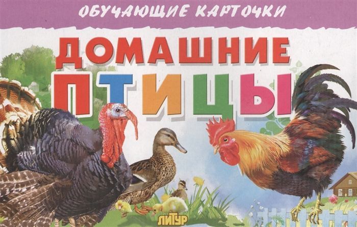 Обложка товара «ОКарточки. Домашние птицы Бортникова Е.Ф.»