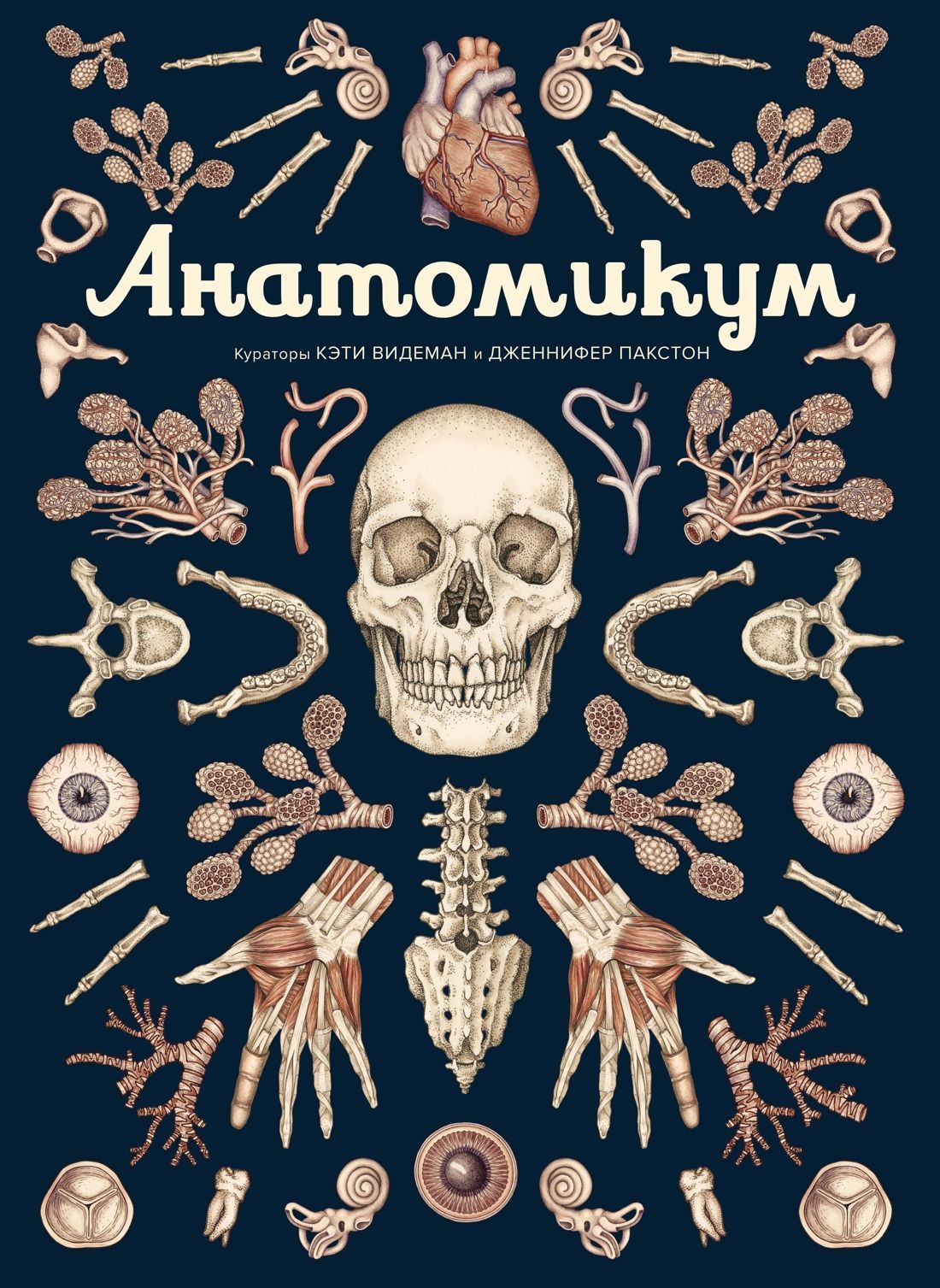 Обложка товара «Анатомикум»