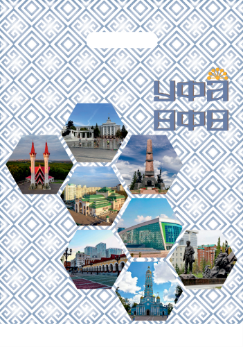Обложка товара «Пакет Уфа 30*40 »