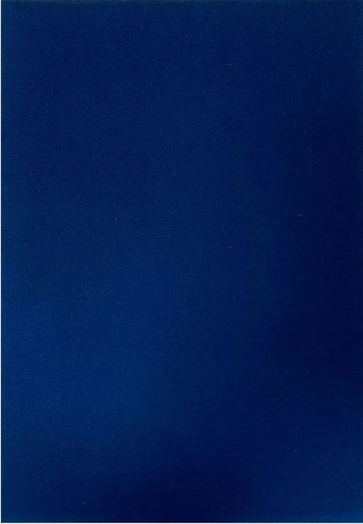 Папка бархатная Без надписи! Синяя