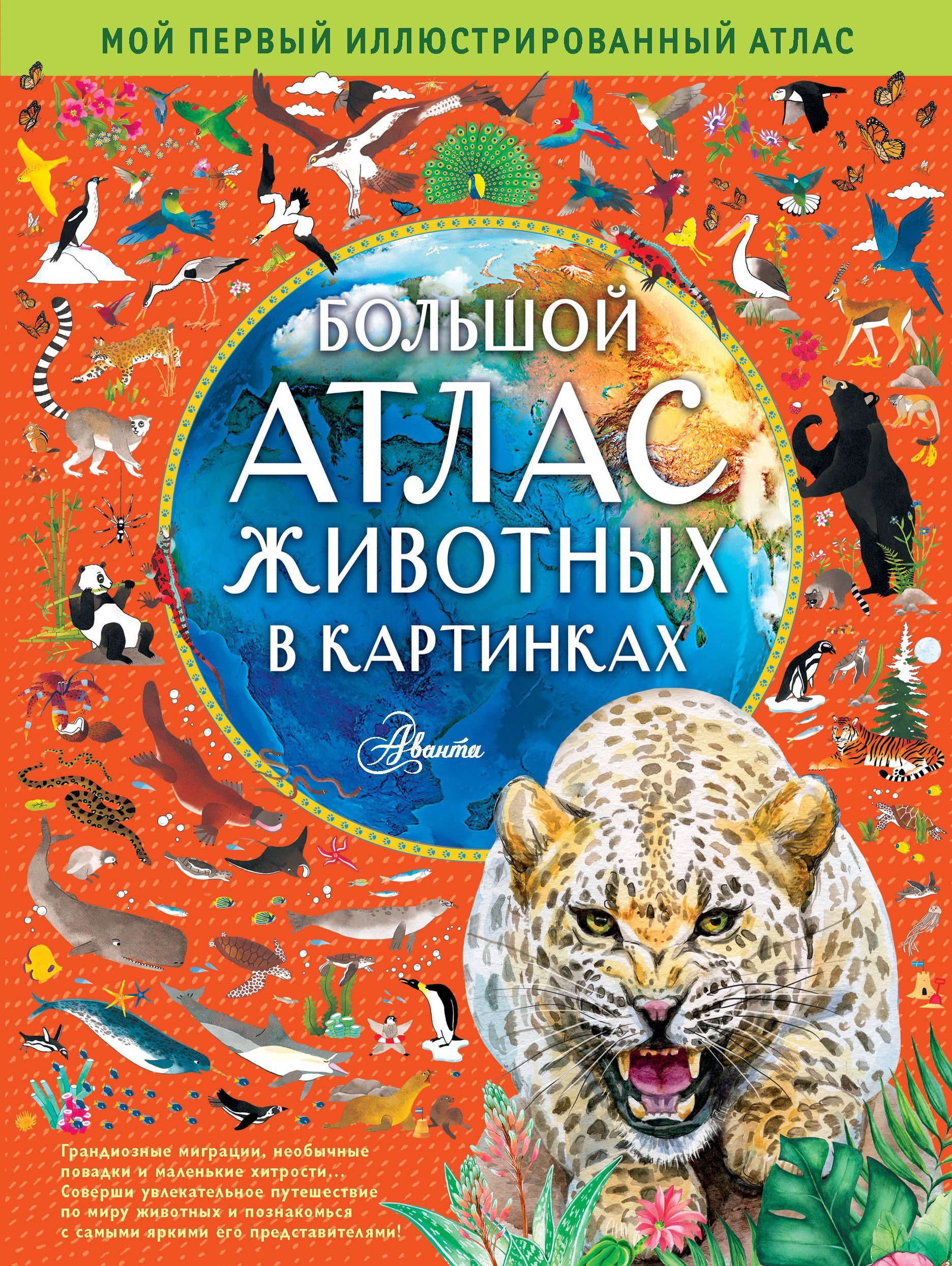 Обложка товара «Большой атлас животных в картинках Хокинс Э.»