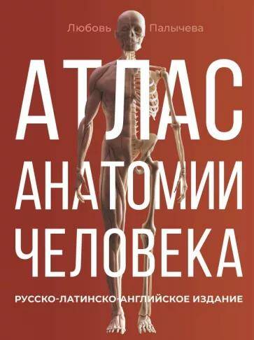 Атлас анатомии человека. Русско-латинско-английское издание Любовь Палычева