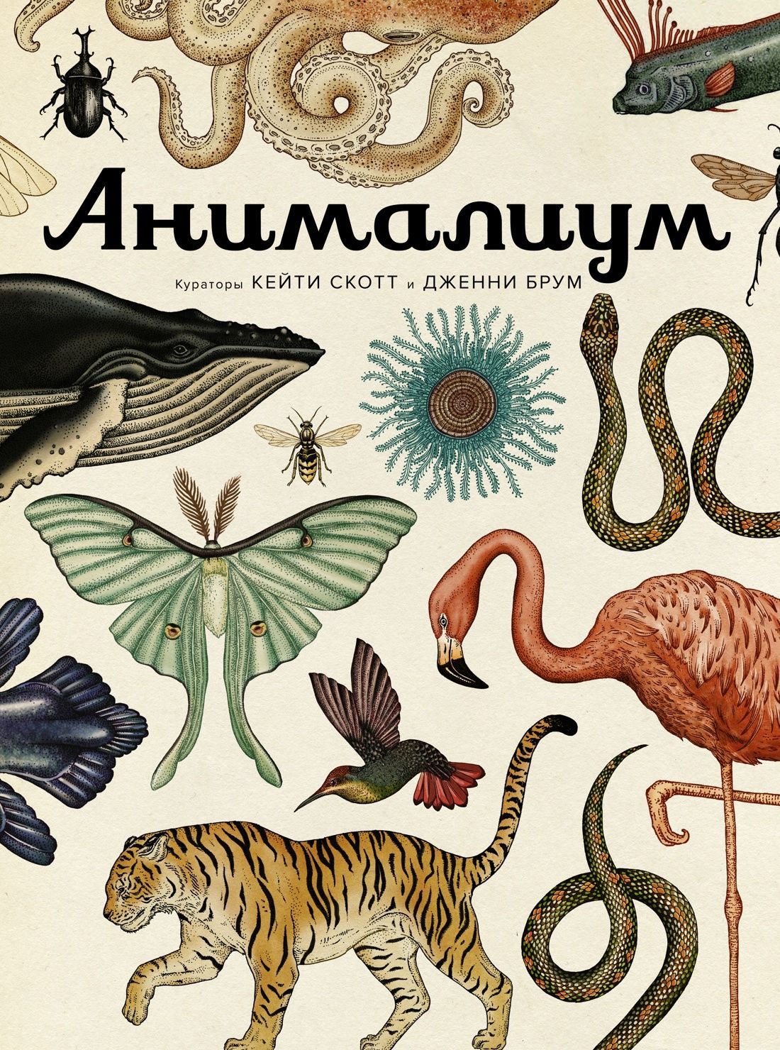 Обложка товара «Анималиум»