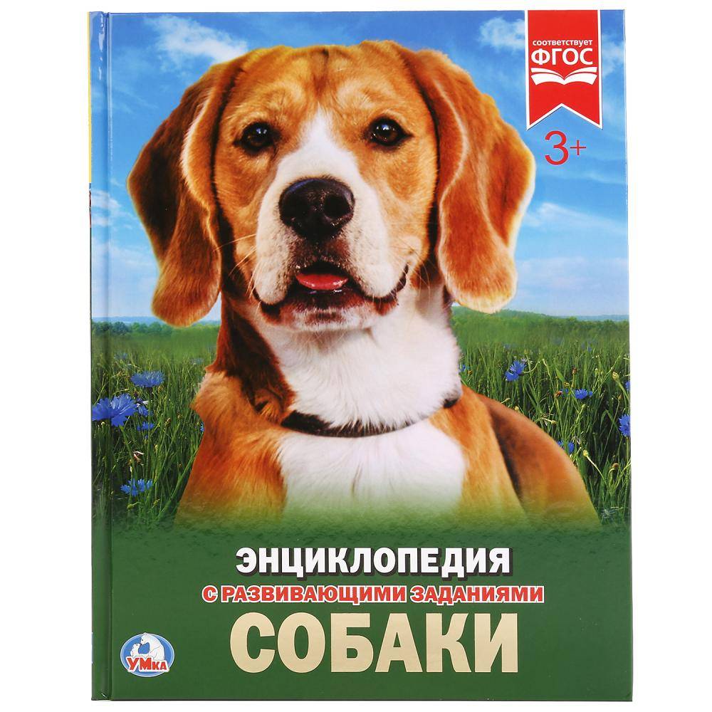 Обложка товара «ЭНЦИКЛОПЕДИЯ А4. СОБАКИ. ТВЕРДЫЙ ПЕРЕПЛЕТ. БУМАГА МЕЛ, 48 СТР.,  197Х255 ММ.»