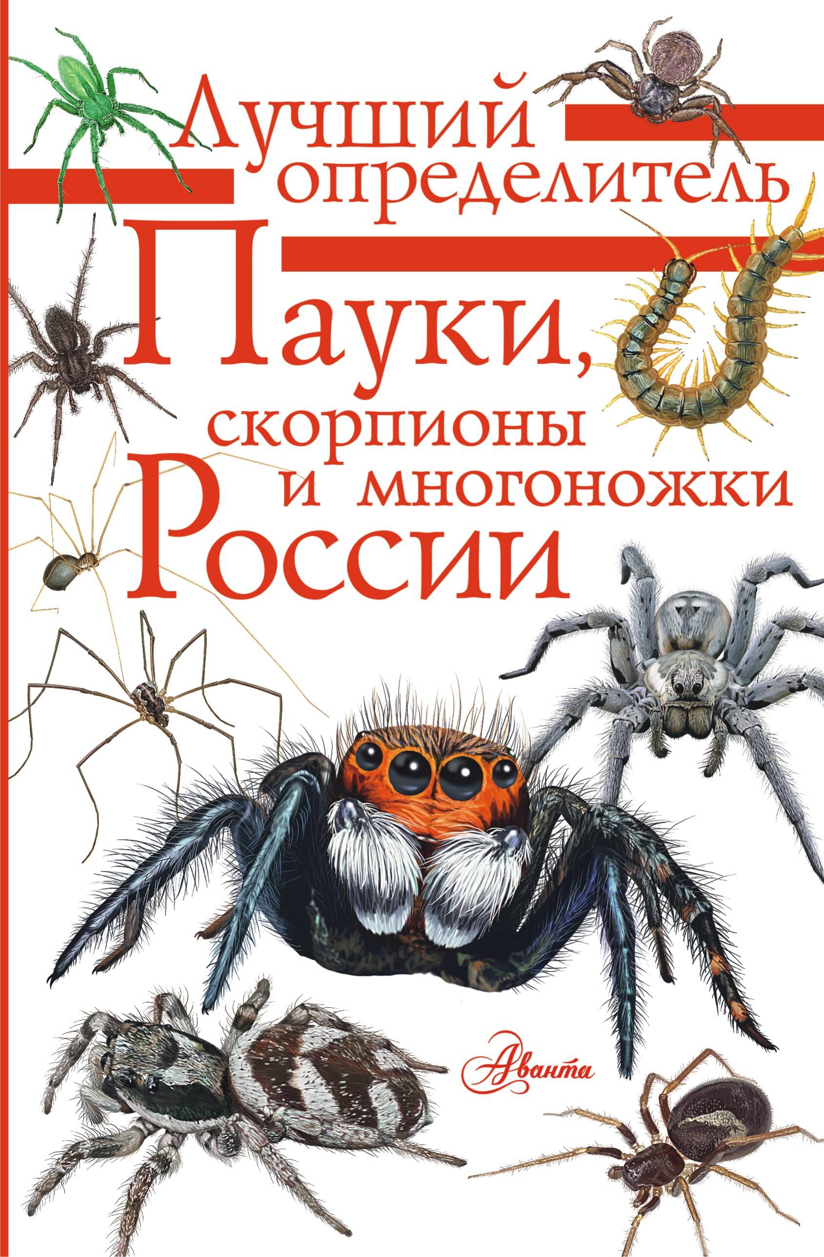 Обложка товара «Пауки, скорпионы и многоножки России»