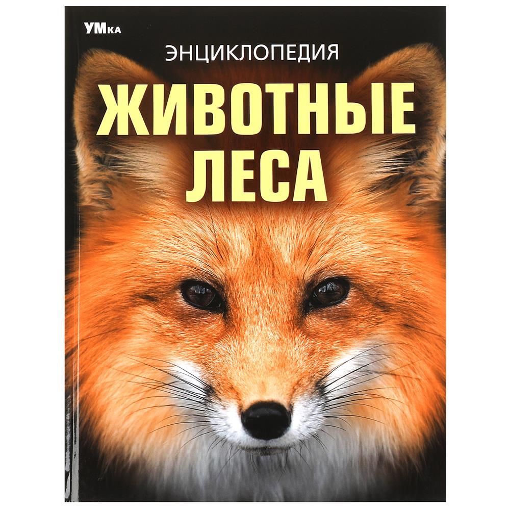 Обложка товара «ЭНЦИКЛОПЕДИЯ А4. Животные леса. 197х255 мм. 7БЦ. 48 стр. »