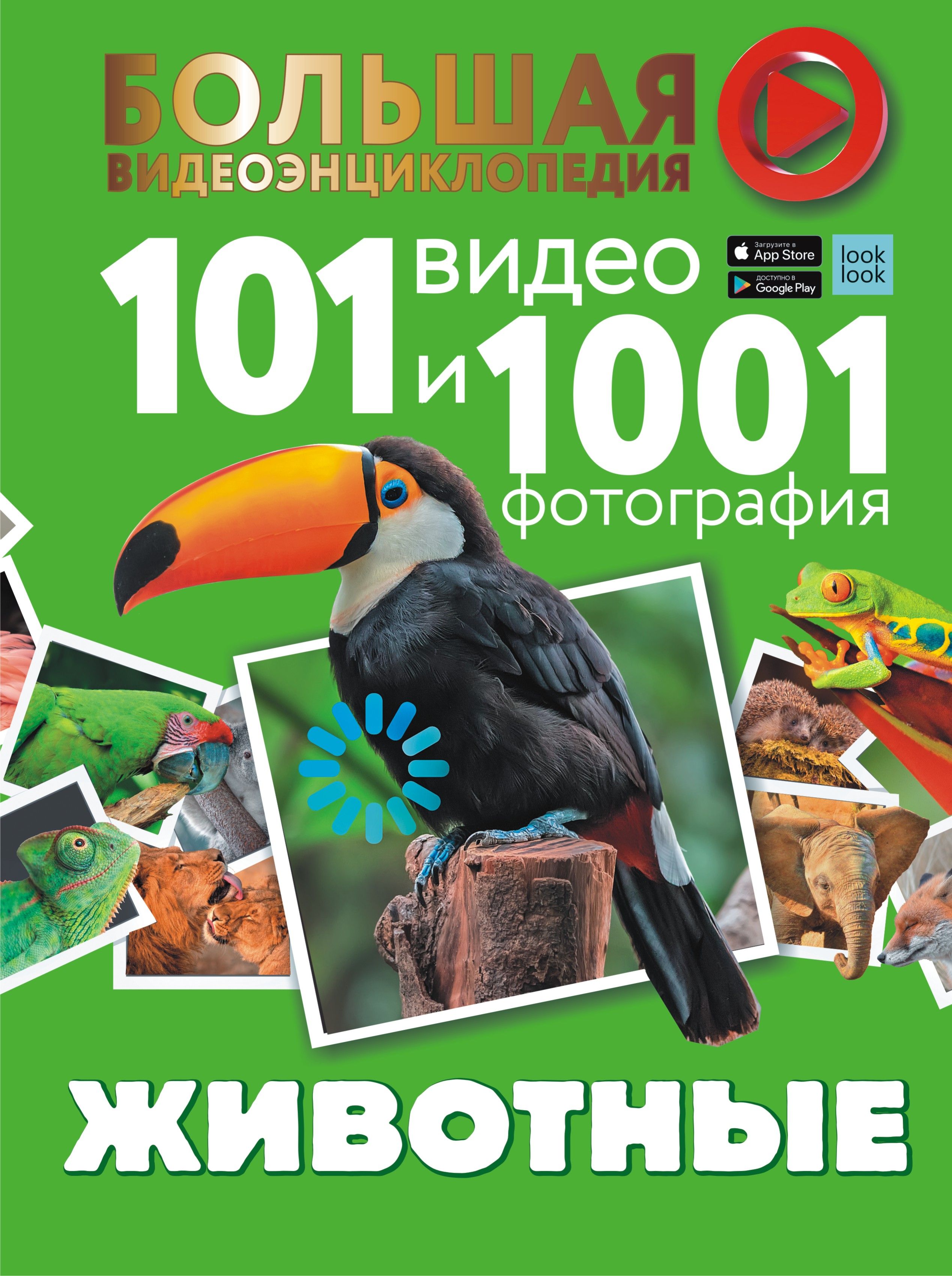 Животные. 101 видео и 1001 фотография Вайткене Л.Д., Хомич Е.О.