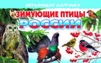 Обложка товара «ОКарточки. Зимующие птицы России Бортникова Е.Ф.»