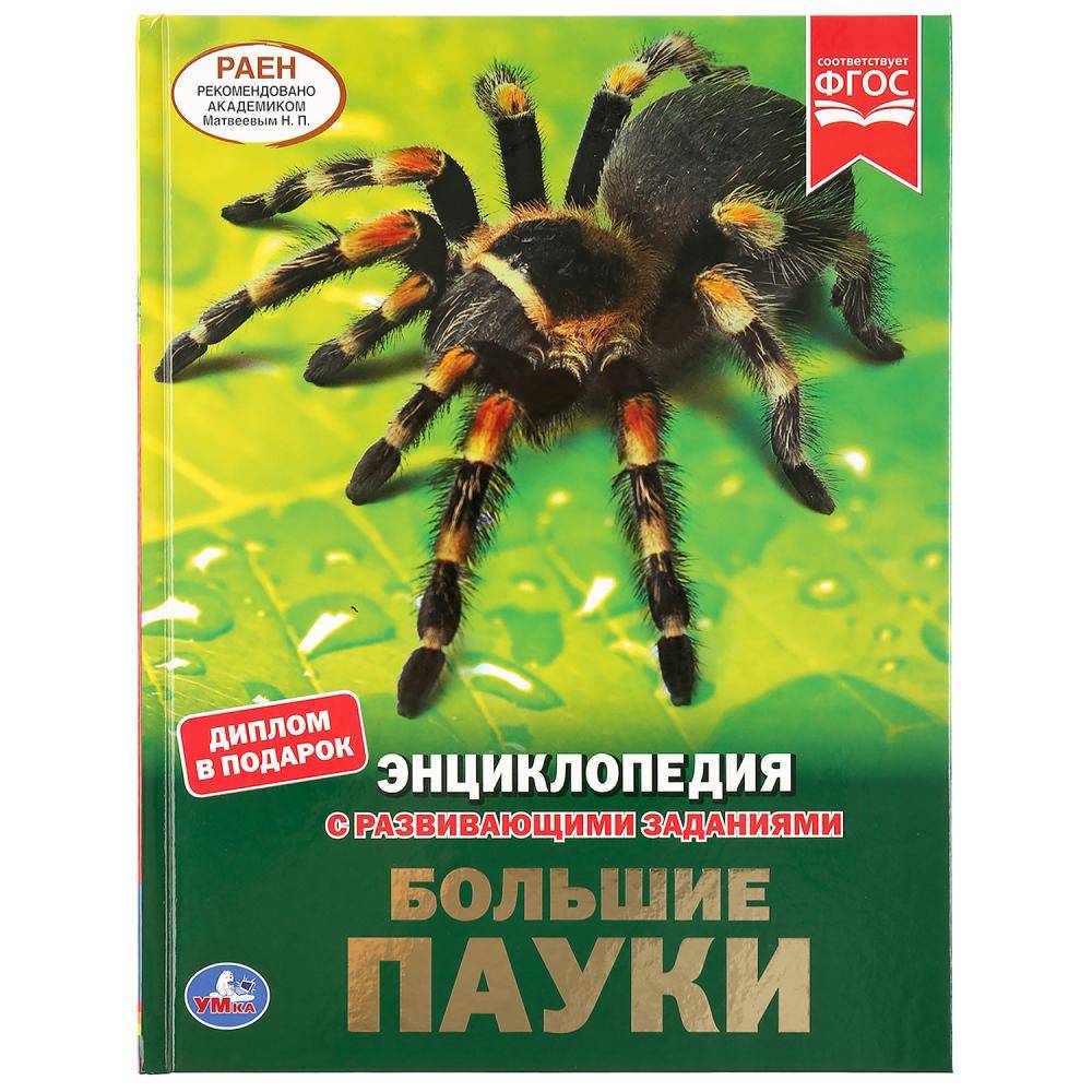 Обложка товара «ЭНЦИКЛОПЕДИЯ А4. Большие пауки. 197х255мм. 48 стр. »