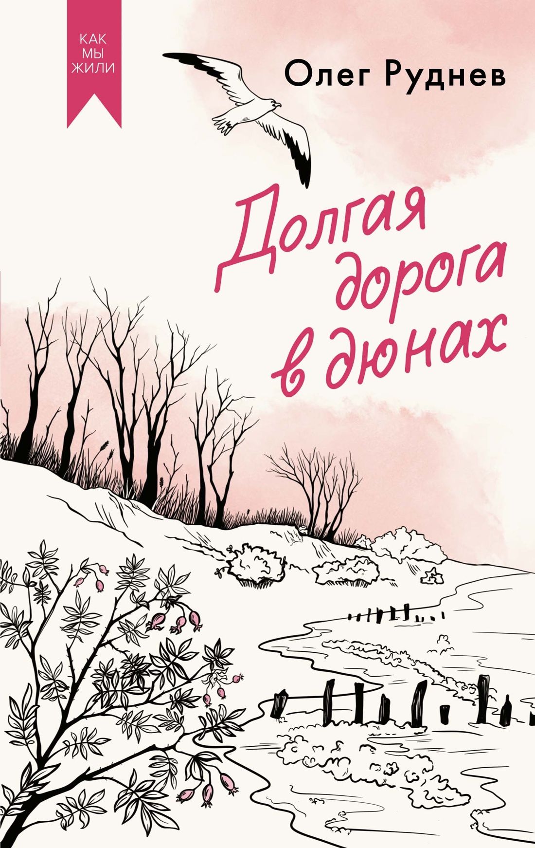 Обложка товара «Долгая дорога в дюнах»